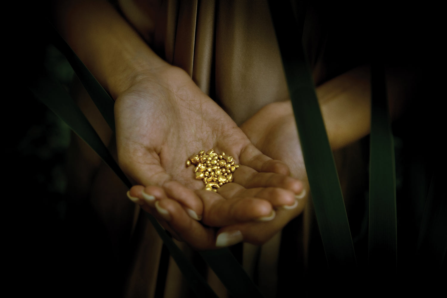 Hands cupping gold grain in long grass